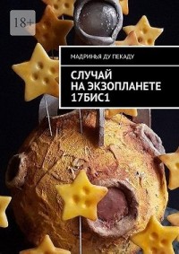 Случай на экзопланете 17БИС1