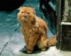 Drabble_NK - Профессор и Чудовище