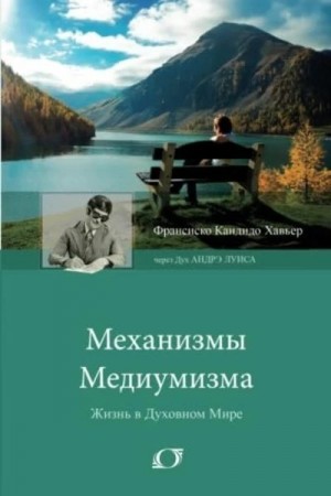 Хавьер Франсиско, Вьейра Вальдо - Механизмы медиумизма. Через Дух Андрэ Луиса