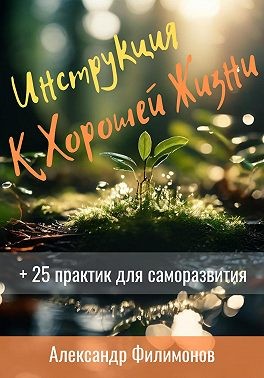 Филимонов Александр - Инструкция к хорошей жизни
