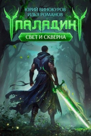 Романов Илья, Винокуров Юрий - Паладин