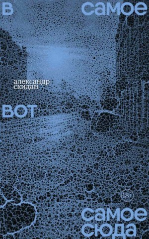 Скидан Александр - В самое вот самое сюда. Стихи 2020–2023