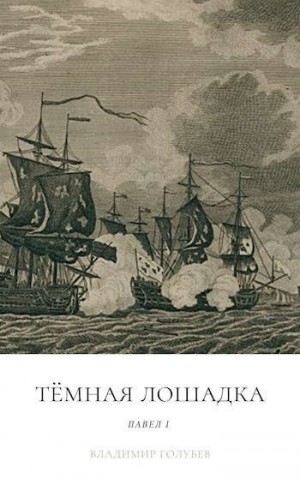 Голубев Владимир - Темная лошадка