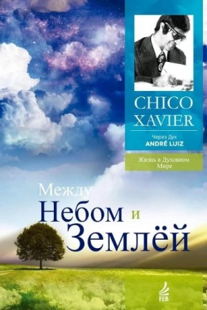 Хавьер Франсиско - Между небом и землей. Через Дух Андрэ Луиса