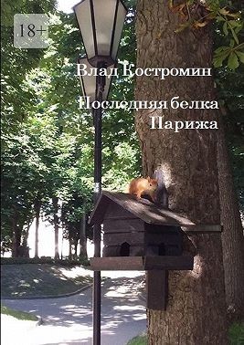 Костромин Влад - Последняя белка Парижа