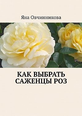 Овчинникова Яна - Как выбрать саженцы роз