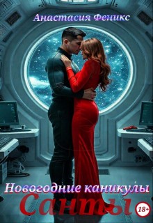 Феникс Анастасия - Новогодние каникулы Санты