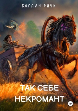 Ричи Богдан - Так себе некромант