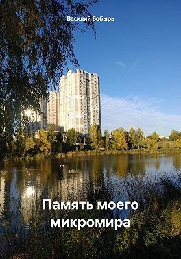 Бобырь Василий - Память моего микромира