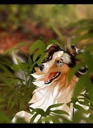 Баркер Клайв - Жизнь зверя