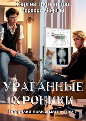 Плотников Сергей, Мадоши Варвара - Ураганные хроники