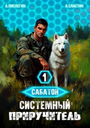 Пислегин Алексей, Сластин Артем - Системный приручитель 1