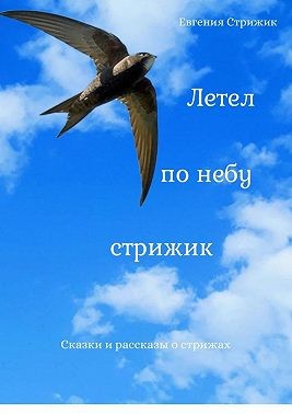 Стрижик Евгения - Летел по небу стрижик