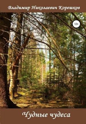 Корешков Владимир - Чудные чудеса