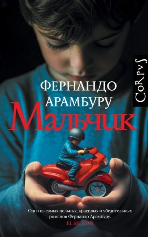 Арамбуру Фернандо - Мальчик