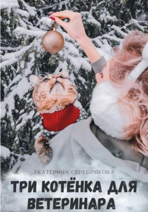 Серебрякова Екатерина - Три котёнка для ветеринара