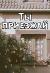 Айрон Мира - Ты приезжай