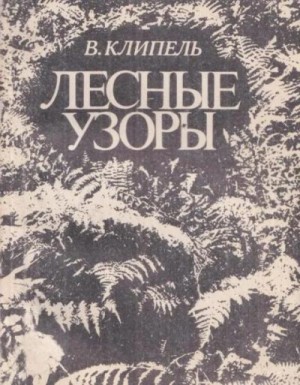 Клипель Владимир - Лесные узоры