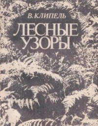 Лесные узоры