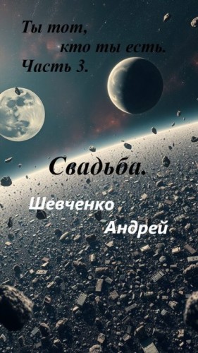 Шевченко Андрей - Свадьба