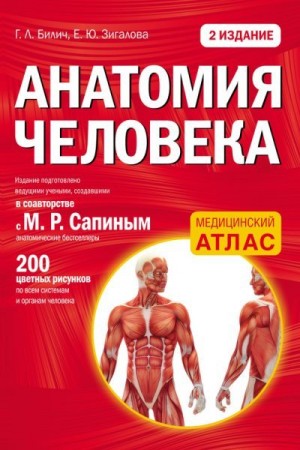 Билич Габриэль, Зигалова Елена - Анатомия человека