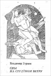 Сны на студёном ветру