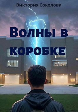 Соколова Виктория - Волны в коробке