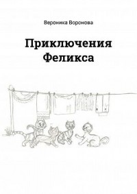 Приключения Феликса