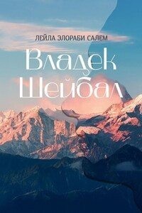 Владек Шейбал