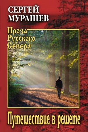 Мурашев Сергей - Путешествие в решете