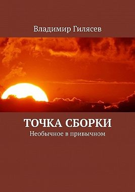Гилясев Владимир - Точка сборки. Необычное в привычном