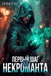 Рэд Илья - Первый шаг Некроманта. Том 6