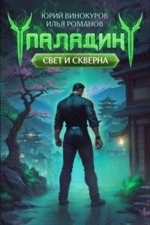 Романов Илья, Винокуров Юрий - Паладин. Свет и Скверна IV