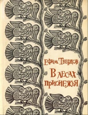Твердов Ефим - В лесах Прионежья