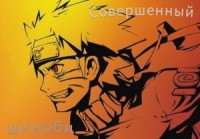 Совершенный шиноби. Книга 1