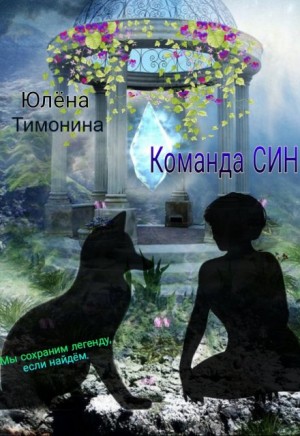 Тимонина Юлёна - Команда Син, или А вы как думали?