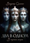 Сухинин Владимир - В паутине интриг