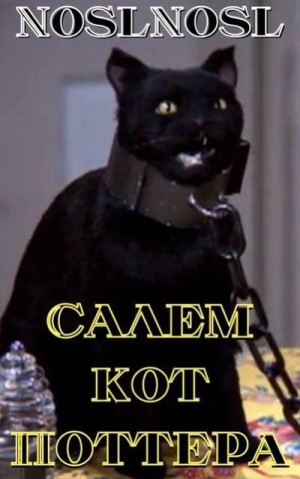 Абрамов Владимир - Салем, кот Поттера