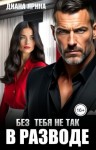 Ярина Диана - В разводе. Без тебя не так