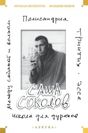 Соколов Саша - Школа для дураков. Между собакой и волком. Палисандрия. Эссе. Триптих