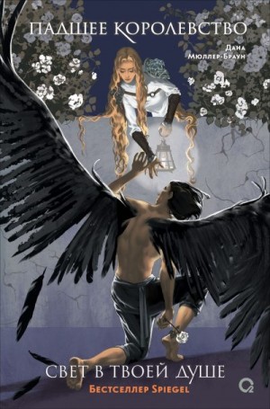 Мюллер-Браун Дана - Свет в твоей душе