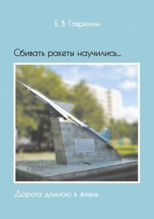 Гаврилин Евгений - Сбивать ракеты научились… Дорога длиною в жизнь