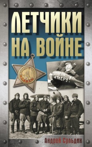 Сульдин Андрей - Летчики на войне