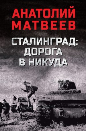 Матвеев Анатолий - Сталинград: дорога в никуда