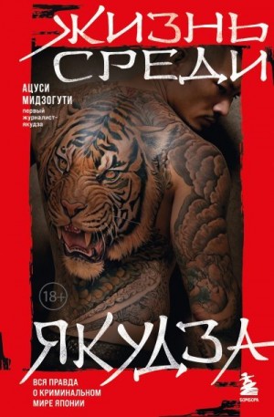 Мидзогути Ацуси - Жизнь среди якудза
