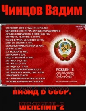 Чинцов Вадим - Назад в СССР. Шелепин 2