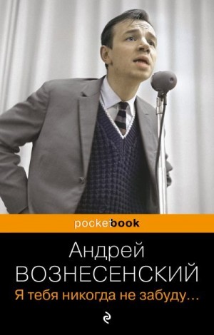 Вознесенский Андрей - Я тебя никогда не забуду…