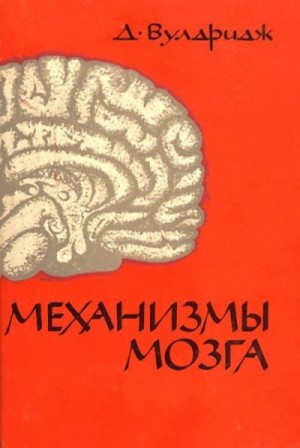 Вулдридж Дин - Механизмы мозга