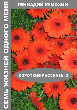 Кумохин Геннадий - Семь жизней одного меня. Короткие рассказы 2