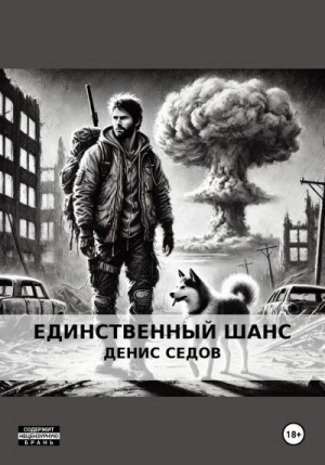 Седов Денис - Единственный шанс
